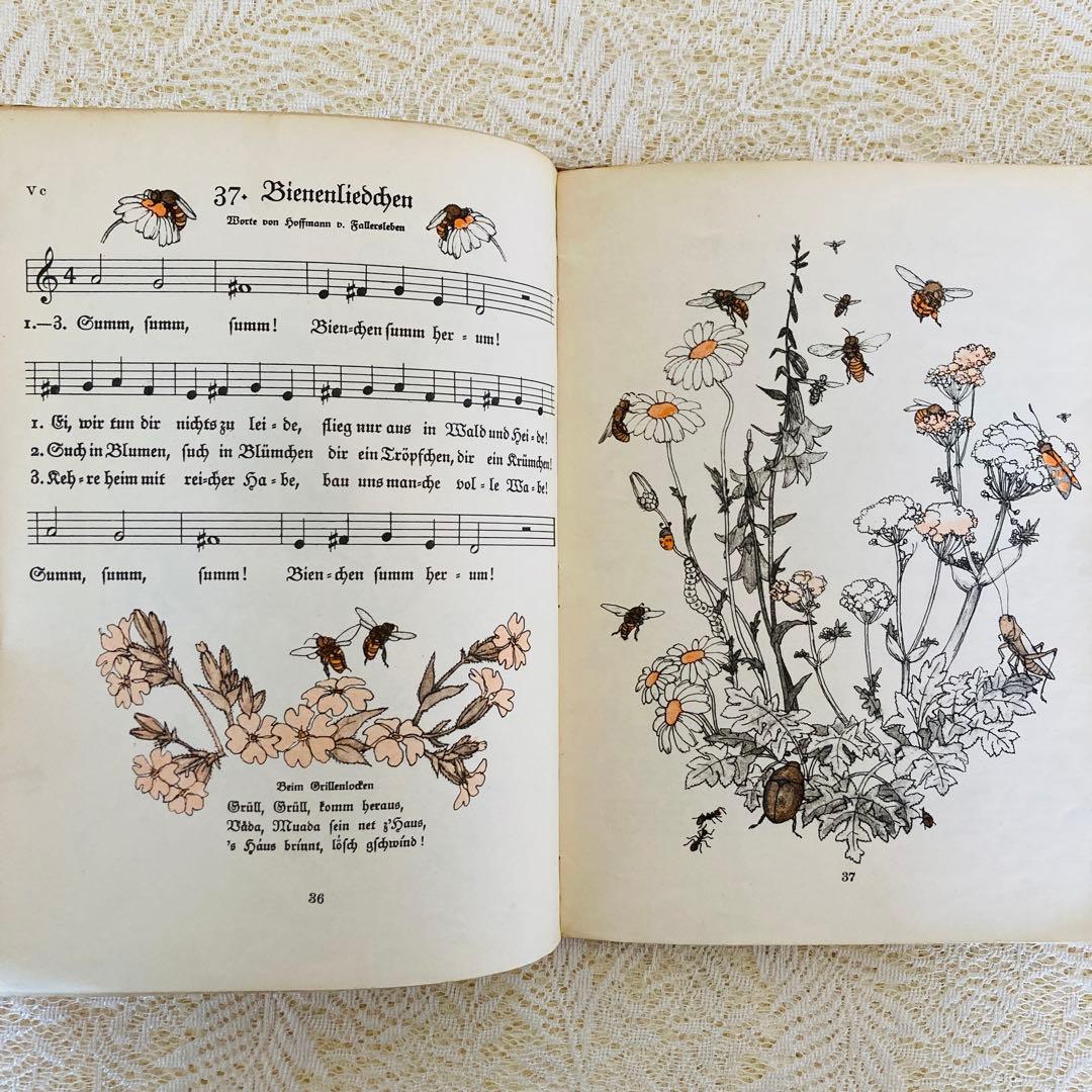 洋書　古書　ドイツ語のアンティーク楽譜絵本♪　イーダ・ボハッタの愛らしい挿絵