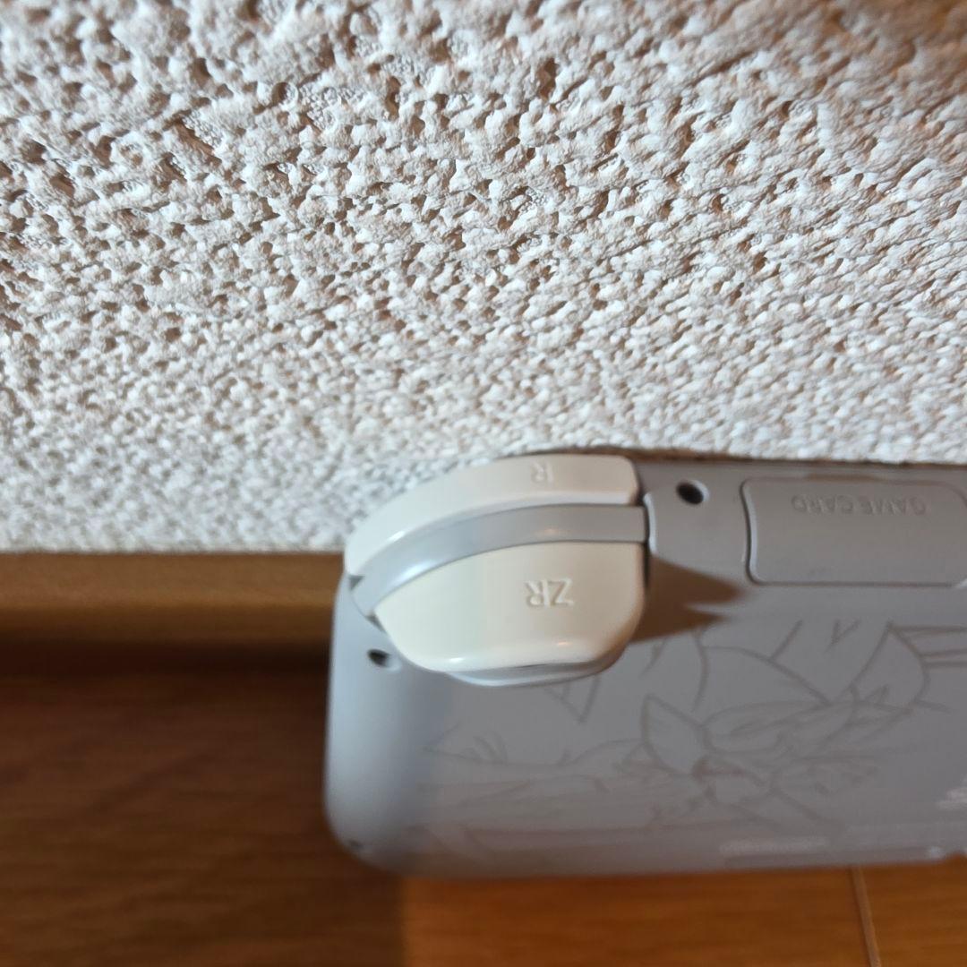 動作確認済 Nintendo Switch Lite ザシアン ザマゼンタ 美品