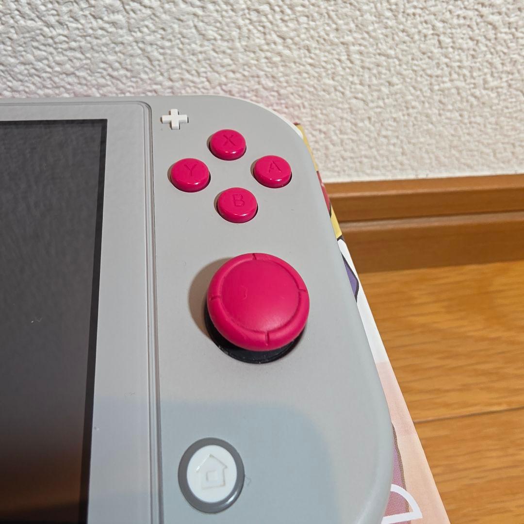 動作確認済 Nintendo Switch Lite ザシアン ザマゼンタ 美品