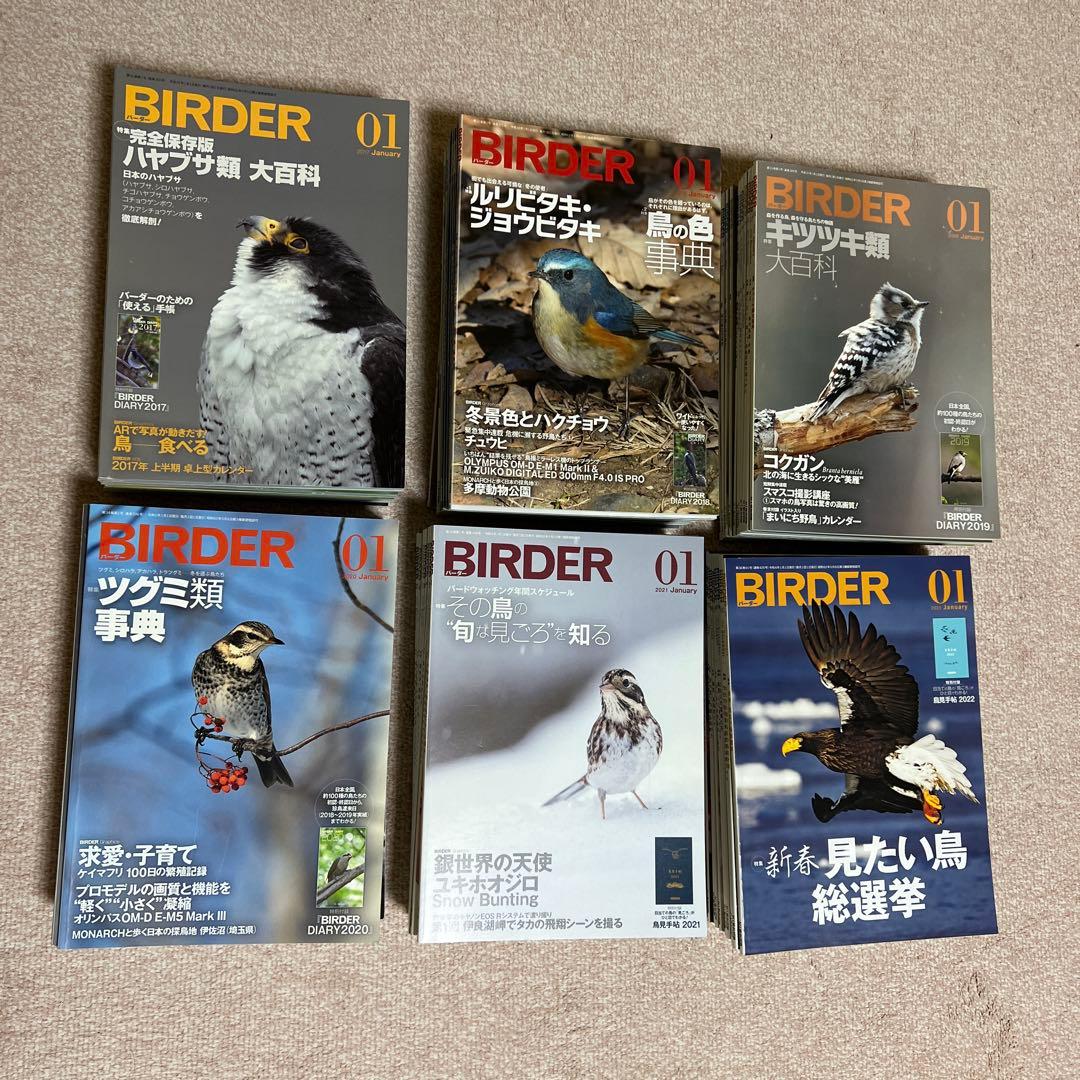 BIRDER バーダー（月刊日本の生物）　　　　　　　　441冊 37年分