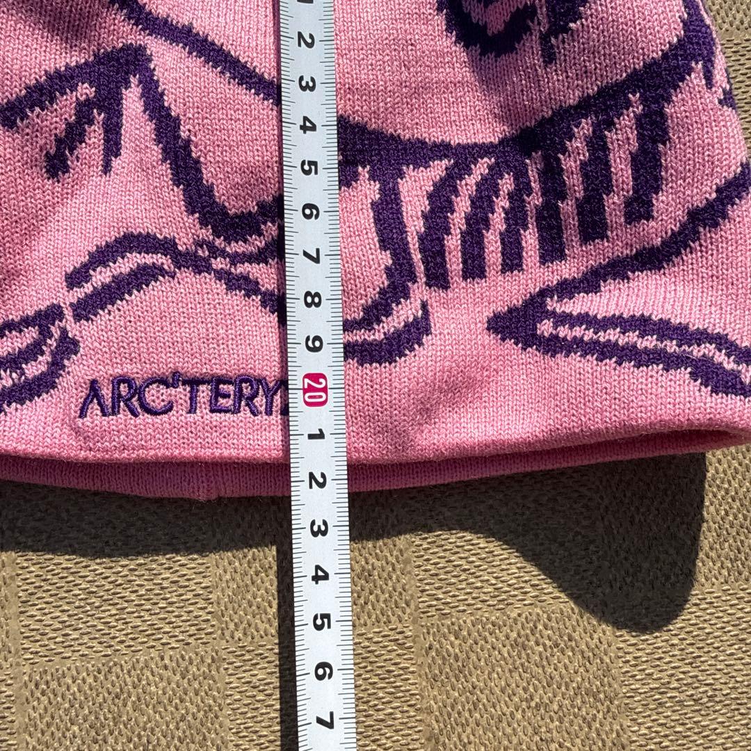 帽子 y2k archive bird head pink beanie opium