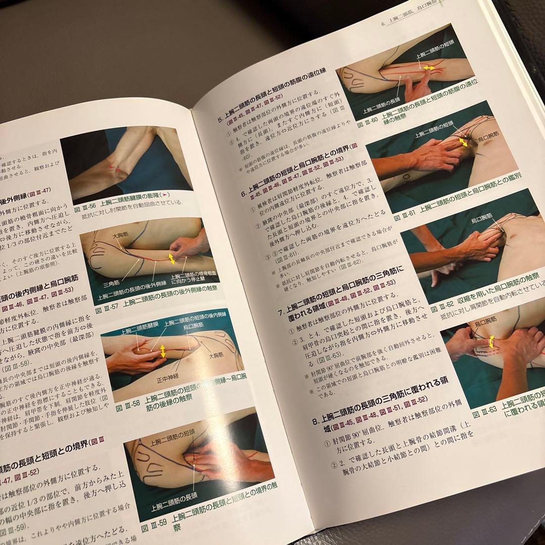 骨格筋の形と触診法 第二版