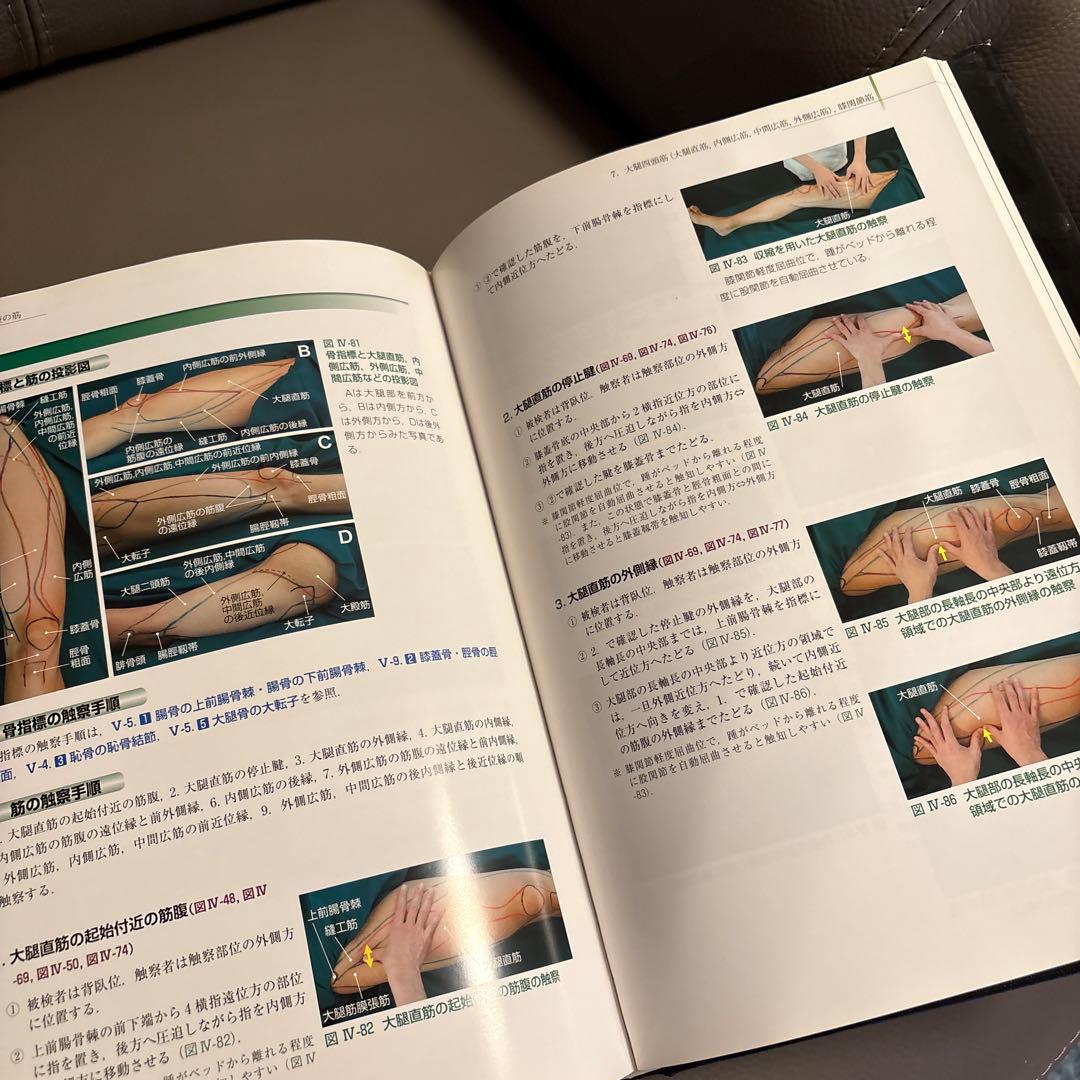 骨格筋の形と触診法 第二版