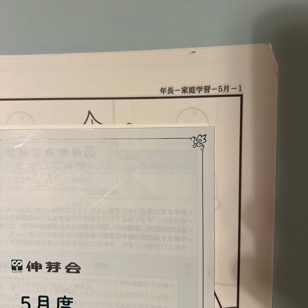 【専用】伸芽会 家庭学習プログラム 年長 11〜7月（9ヶ月分）