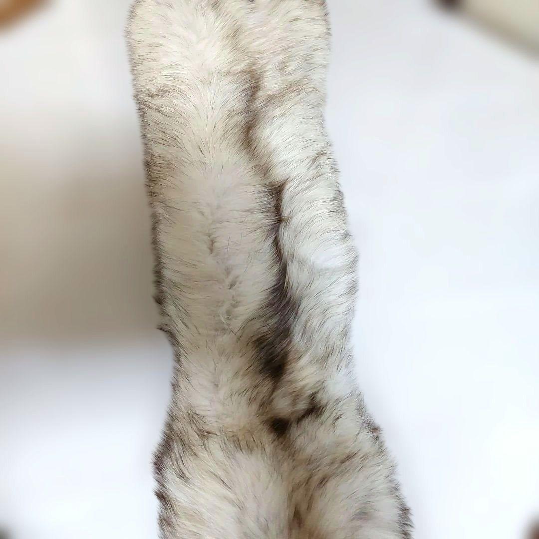 毛皮　マフラー　ファー　フォックス　きつね　本物