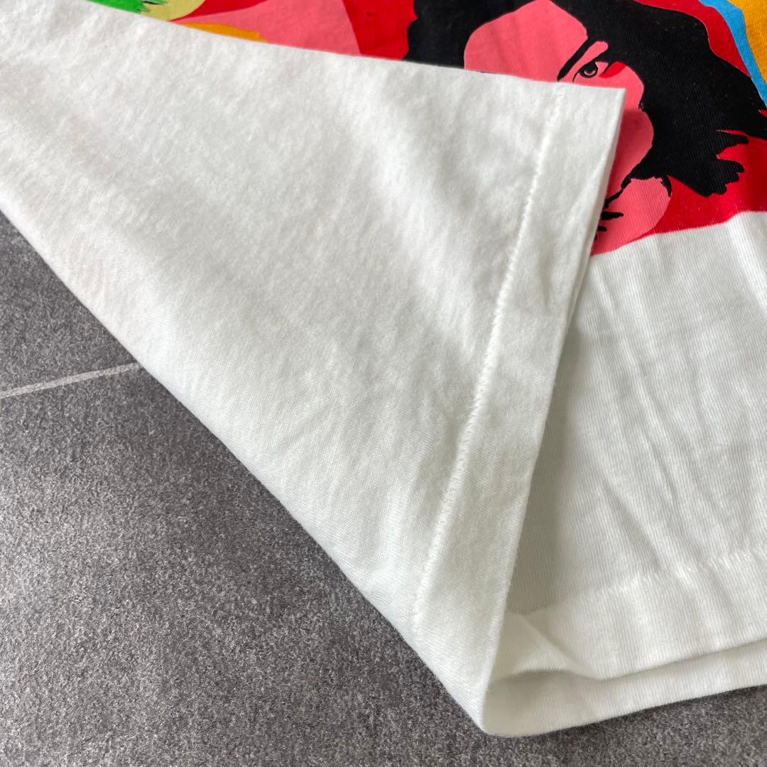 Bjork ビョーク POST アートプリント ロックTシャツ ホワイト XL