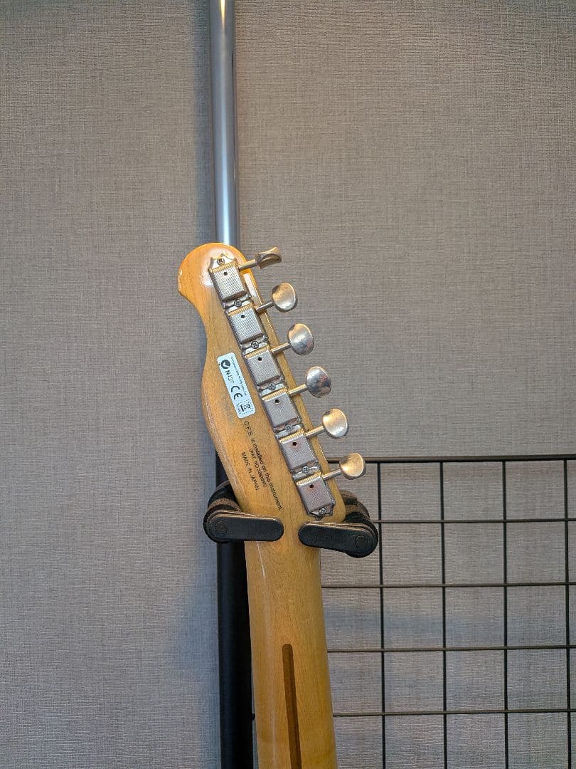 Fujigen NTE100MAHTL フジゲン thinline シンライン