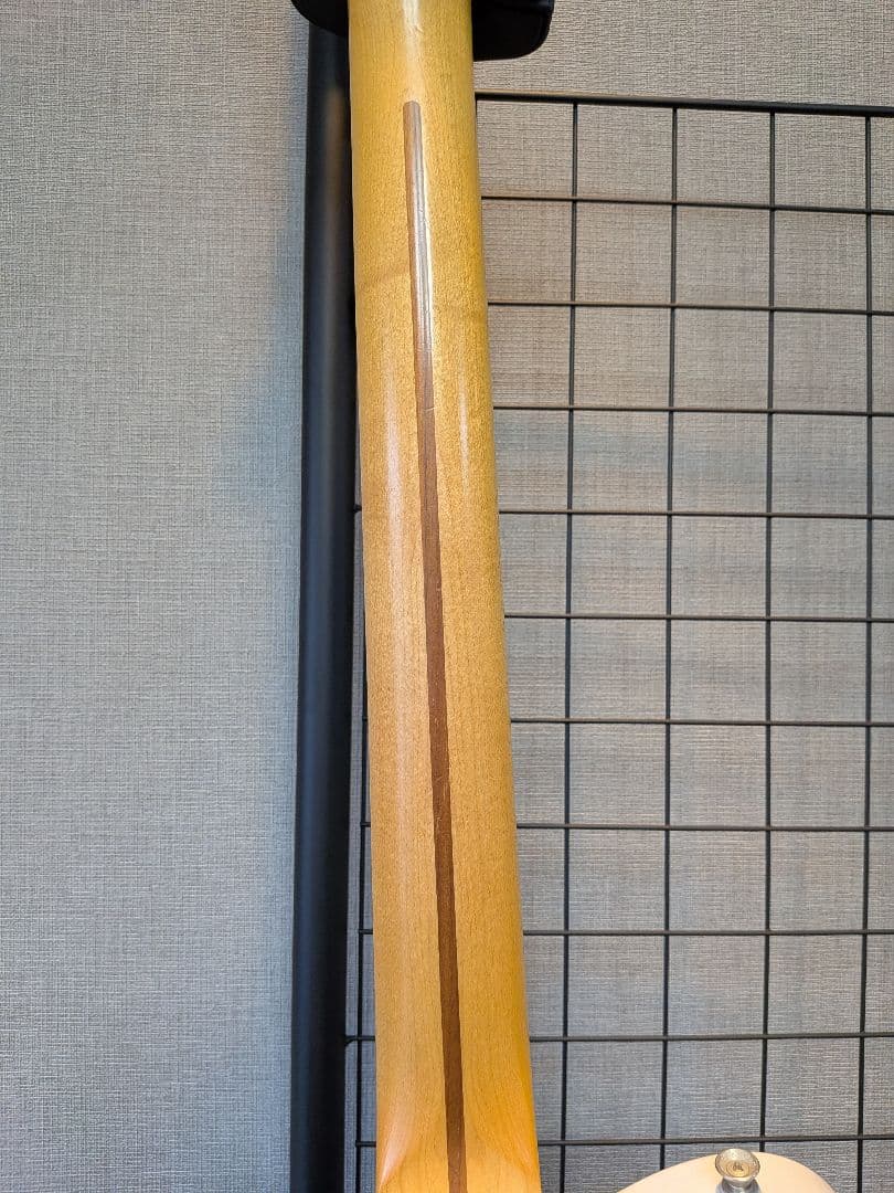 Fujigen NTE100MAHTL フジゲン thinline シンライン