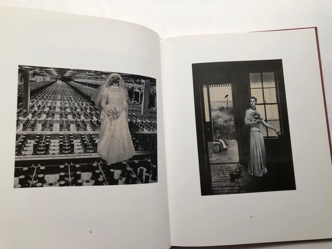 ね*り様 OROP OF DREAMS 洋書　写真集