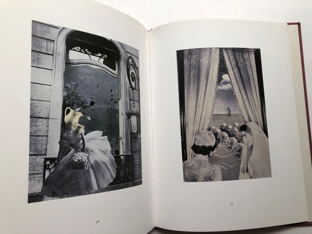 ね*り様 OROP OF DREAMS 洋書　写真集