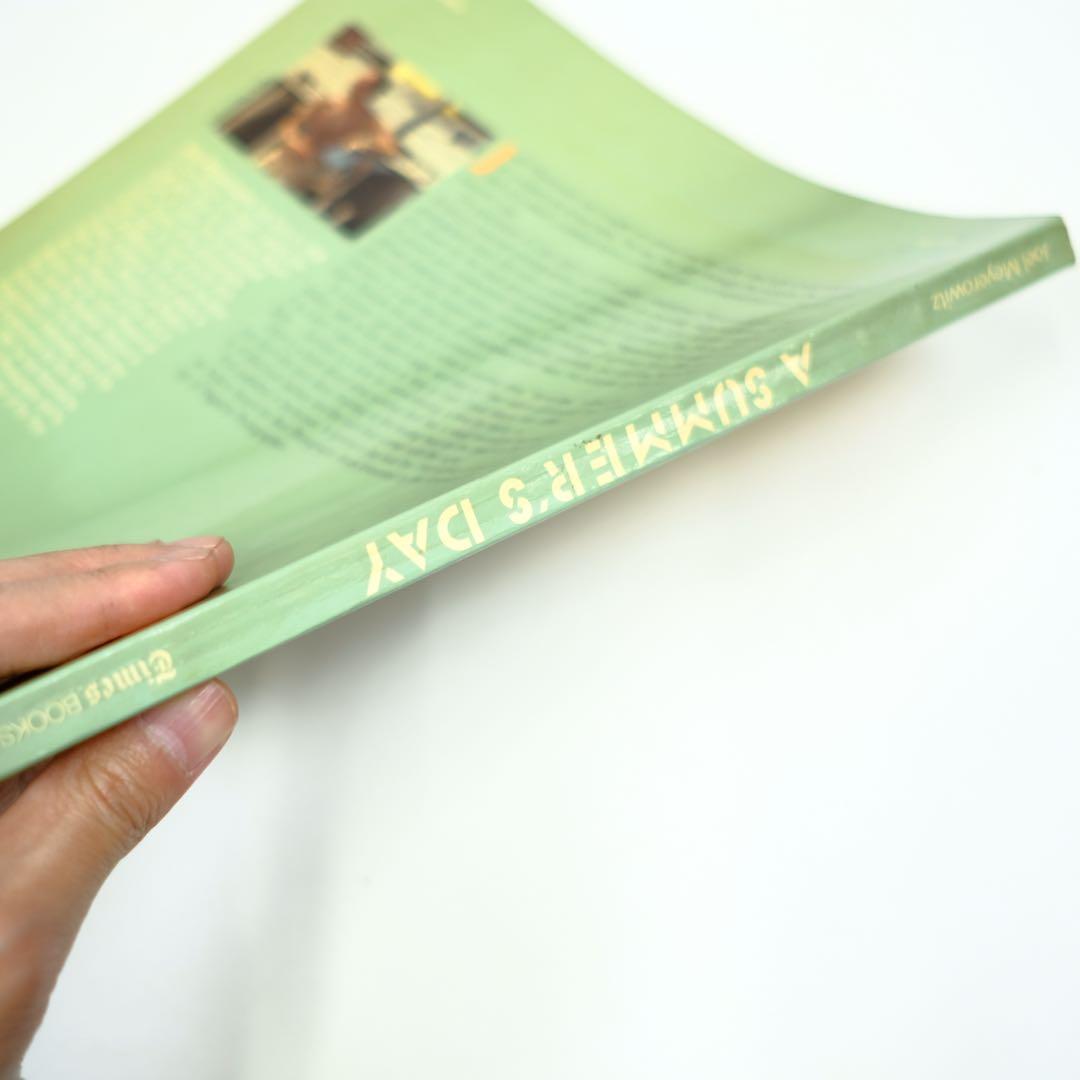 A SUMMER'S DAY Joel Meyerowitz 洋書　写真集　初版