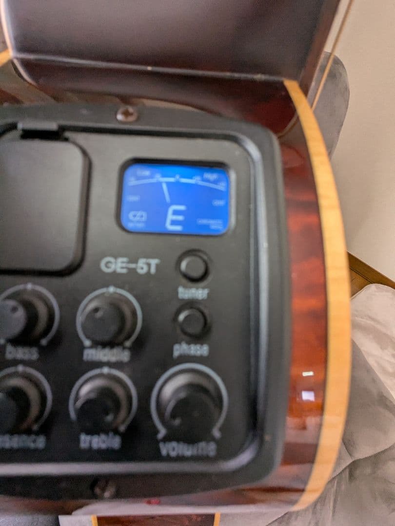 Coraelia C-213 アコースティックギター