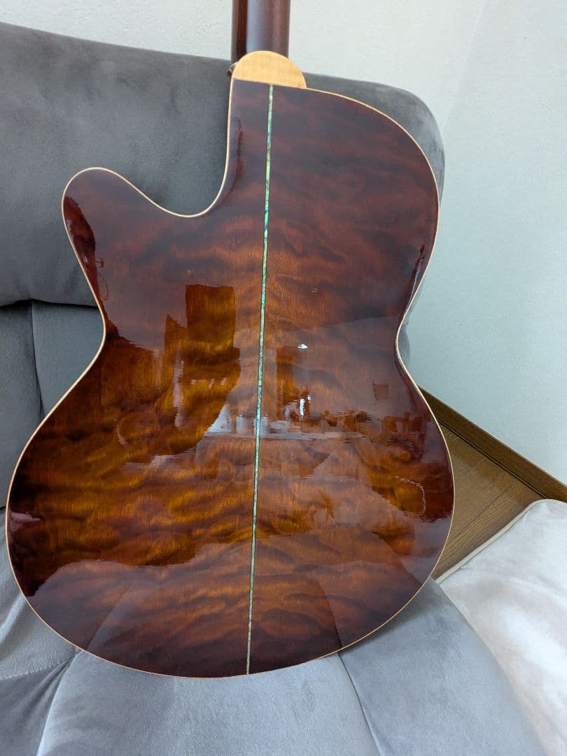Coraelia C-213 アコースティックギター