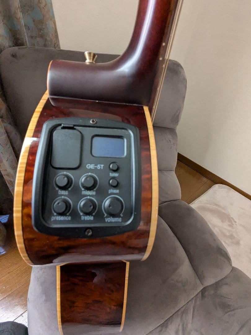 Coraelia C-213 アコースティックギター