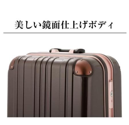 LEGEND WALKER キャリーバッグ Mサイズ ホワイトカーボン