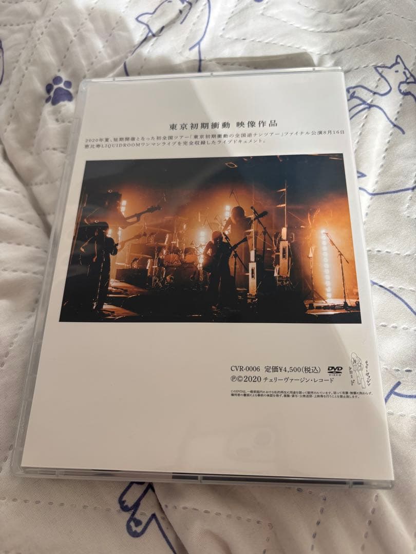 東京初期衝動 ぼくたちは何だかすべて忘れてしまうね DVD