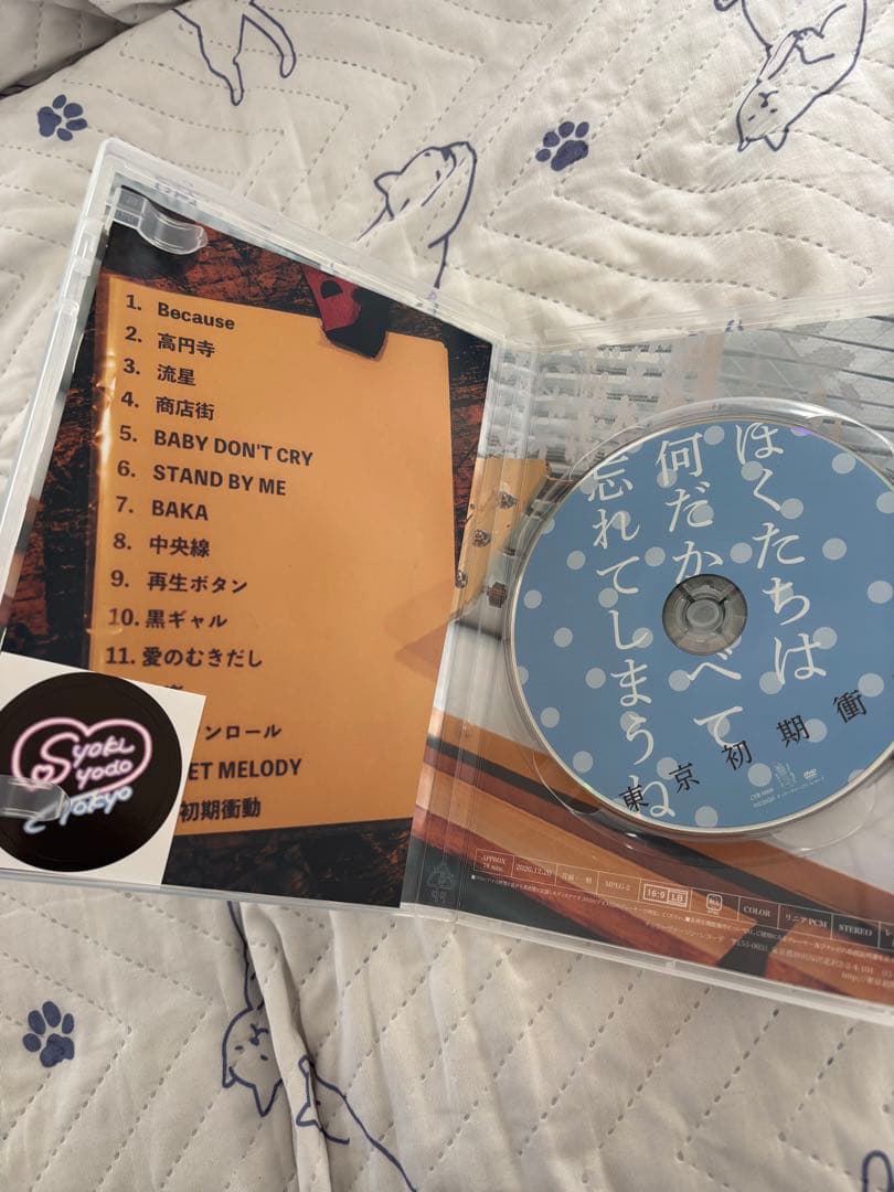 東京初期衝動 ぼくたちは何だかすべて忘れてしまうね DVD