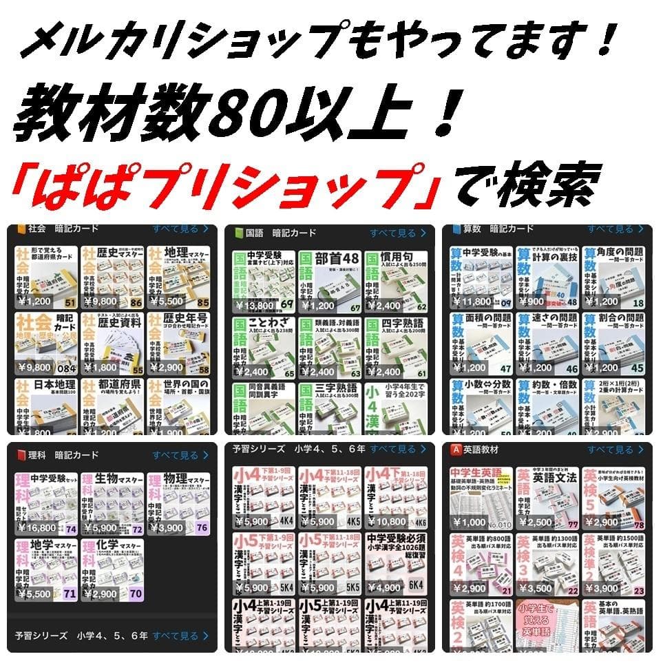 中学入試必須　国語重要語句カードセット　サピックス　言葉ナビ上下対応【069】