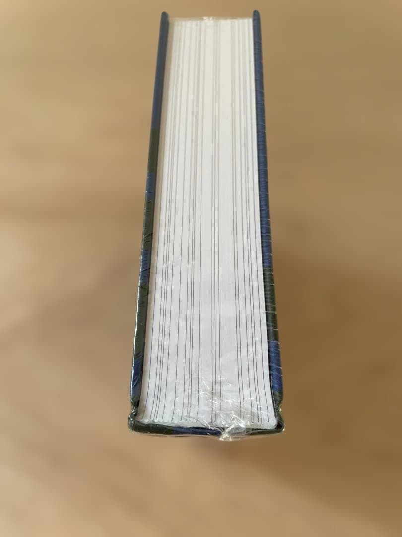 新品未使用　Aalto In Detail