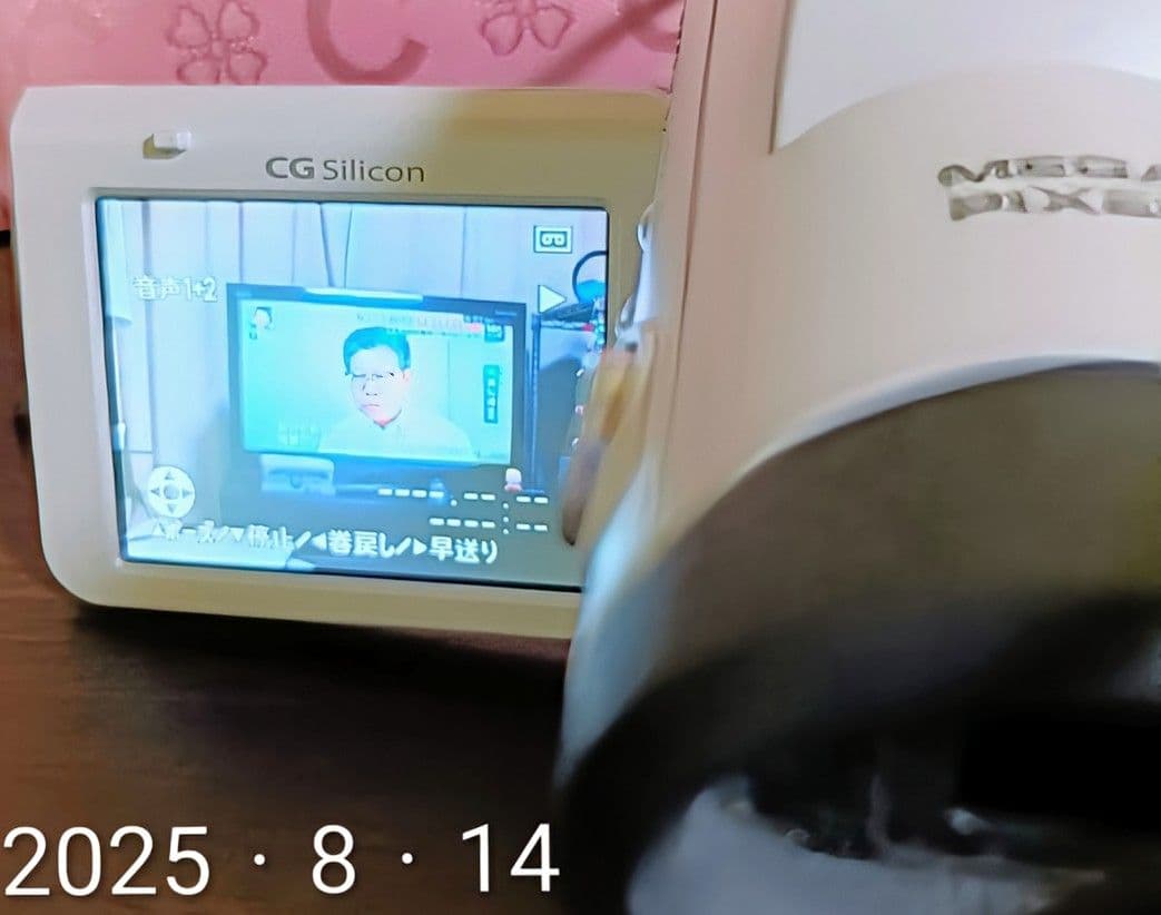 ✨ZC✨SHARP Viewcam Z VL-Z7 200倍デジタルズーム
