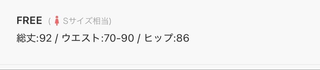 Oriens JOURNAL STANDARD ボーダープリントスカート