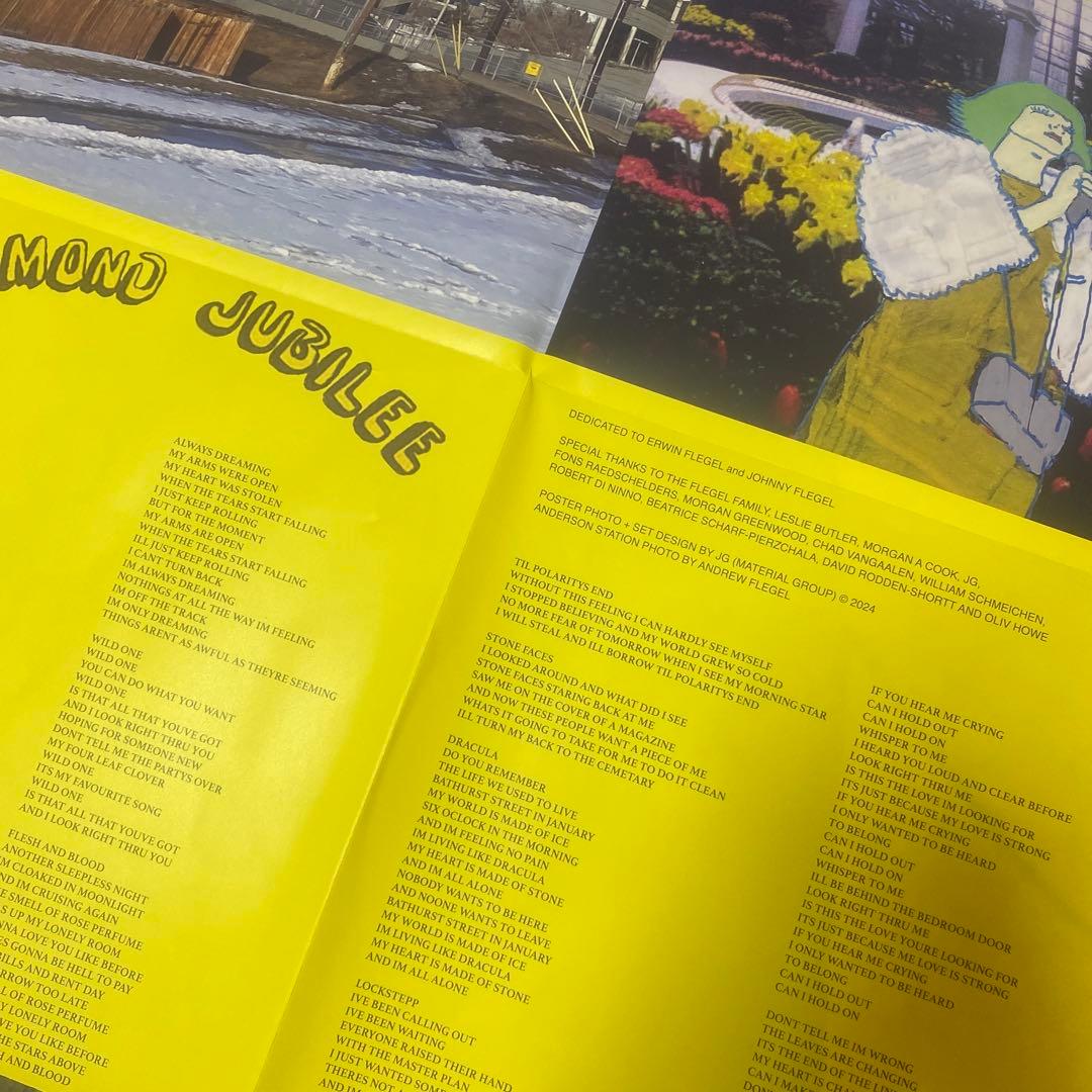 洋楽 (3LP)CINDY LEE / DIAMOND JUBILEE