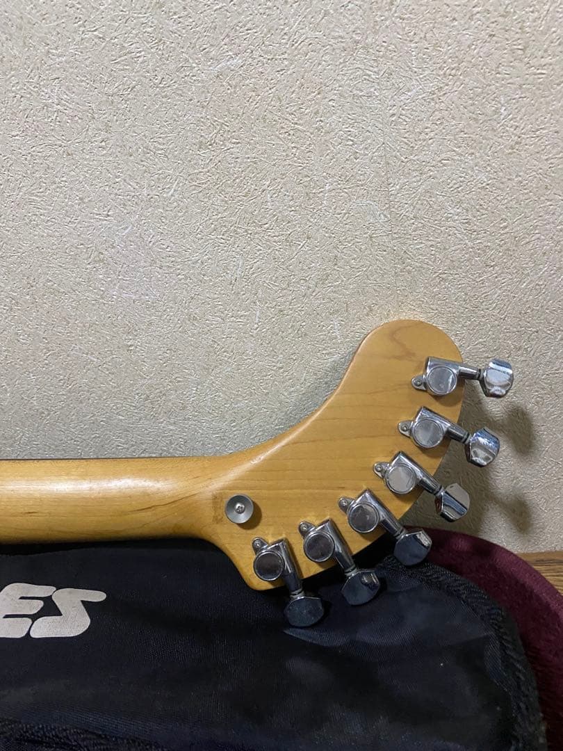 いちさん専用FERNANDES エレキギター ミントグリーン