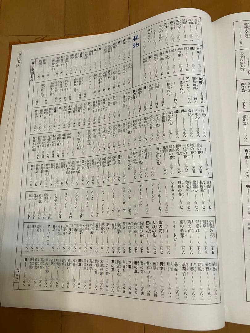「カラー図説　日本大歳時記　座右版」