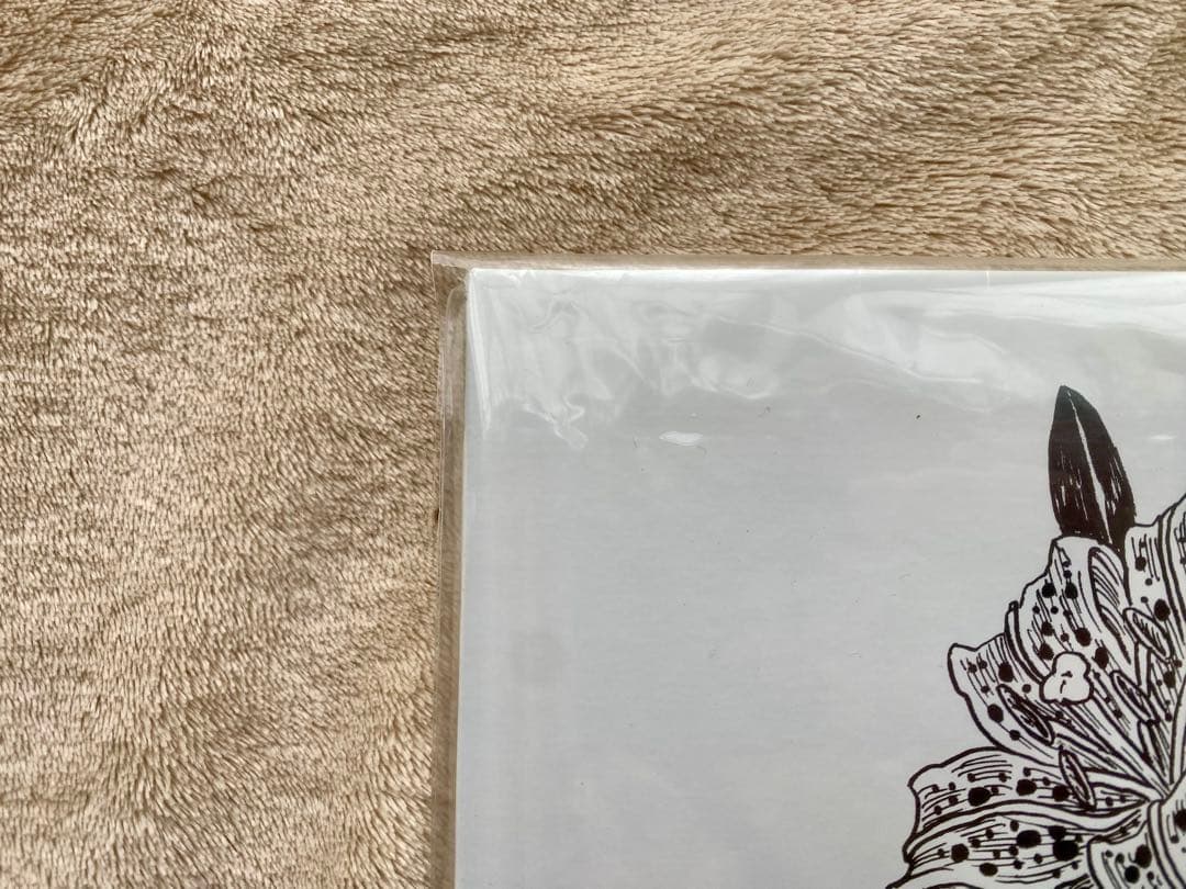 The Birthday SUNBURST アナログ レコード チバユウスケ