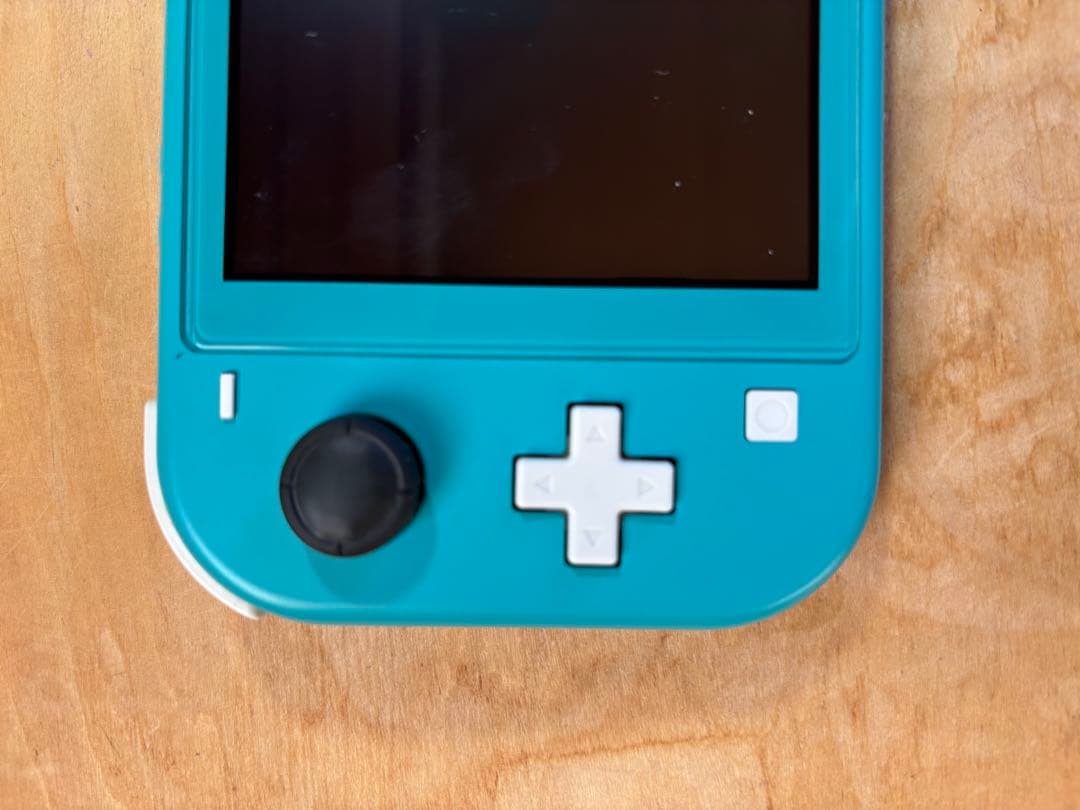Nintendo Switch Lite 動作確認済み
