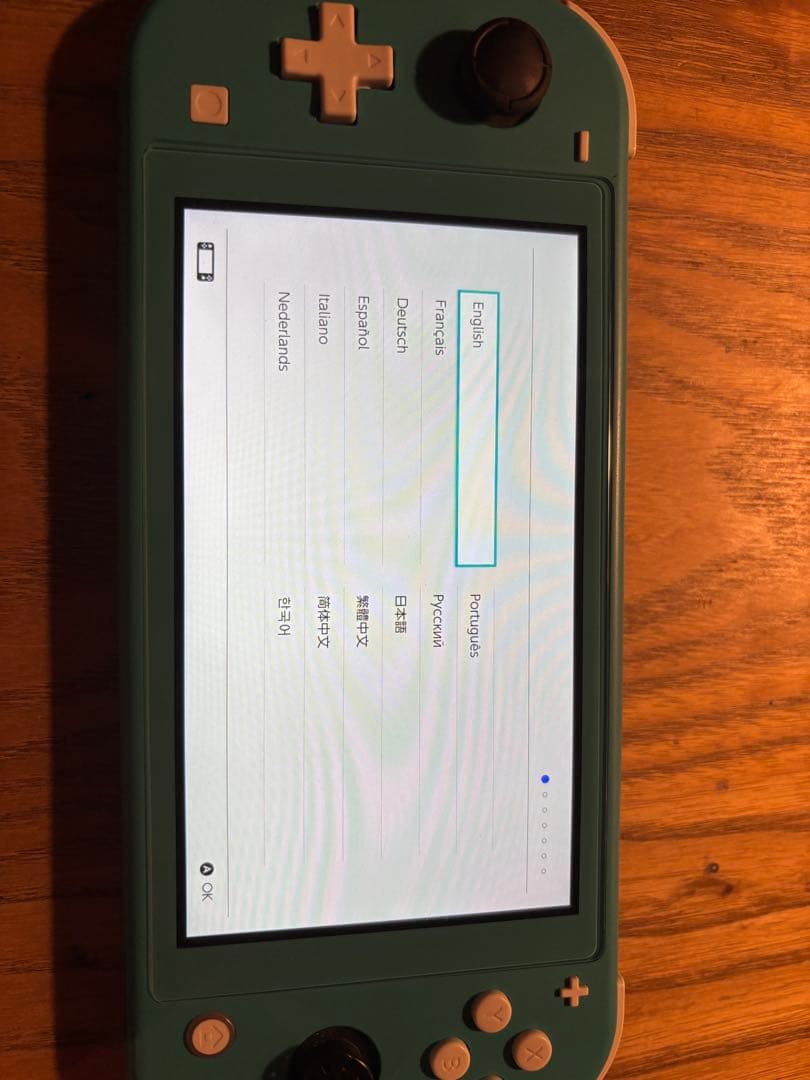 Nintendo Switch Lite 動作確認済み