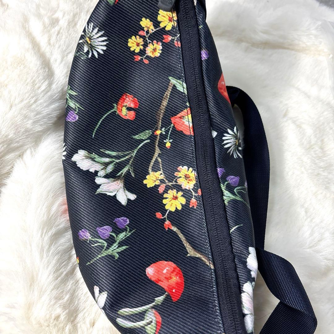 日*5様 ✨美品✨THE NORTH FACEノースフェイス ウエストバッグ ボ
