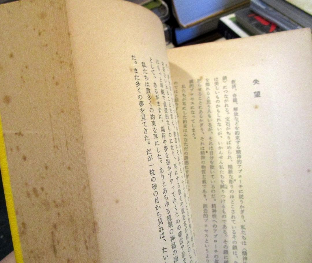 タントラー狂気の智慧
