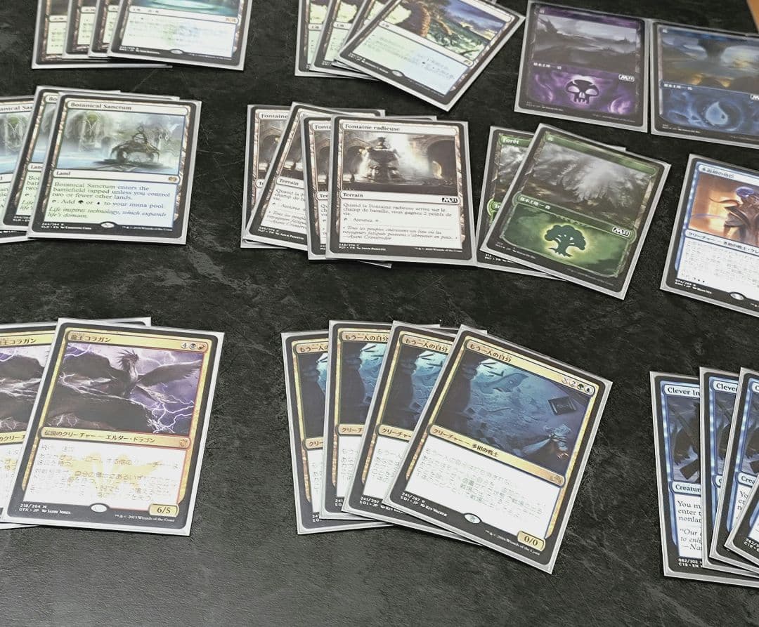 MTG デッキ パイオニア ガイガンジャイルーダ