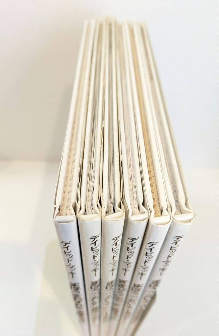 デイビッド・マッキー まほうつかいメルリックのはなし　6冊セット