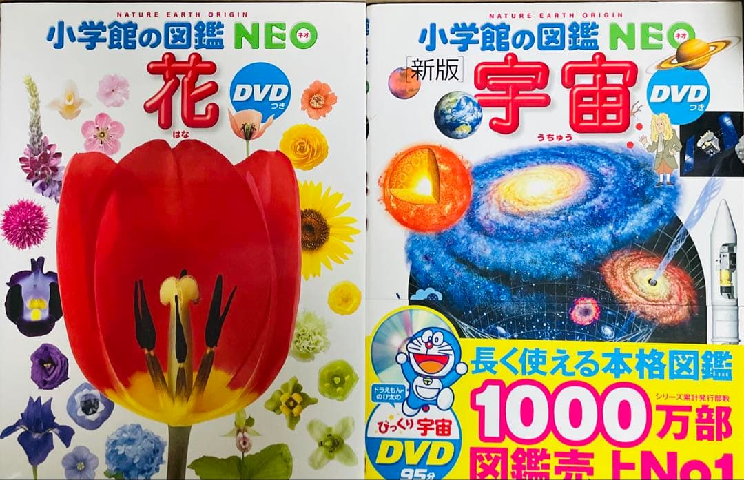 ★10冊セット★小学館の図鑑NEO10冊