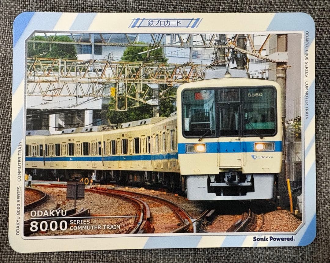 鉄道にっぽん！RealPro 特急ロマンスカー！小田急電鉄編 ヨドバシ特典付き