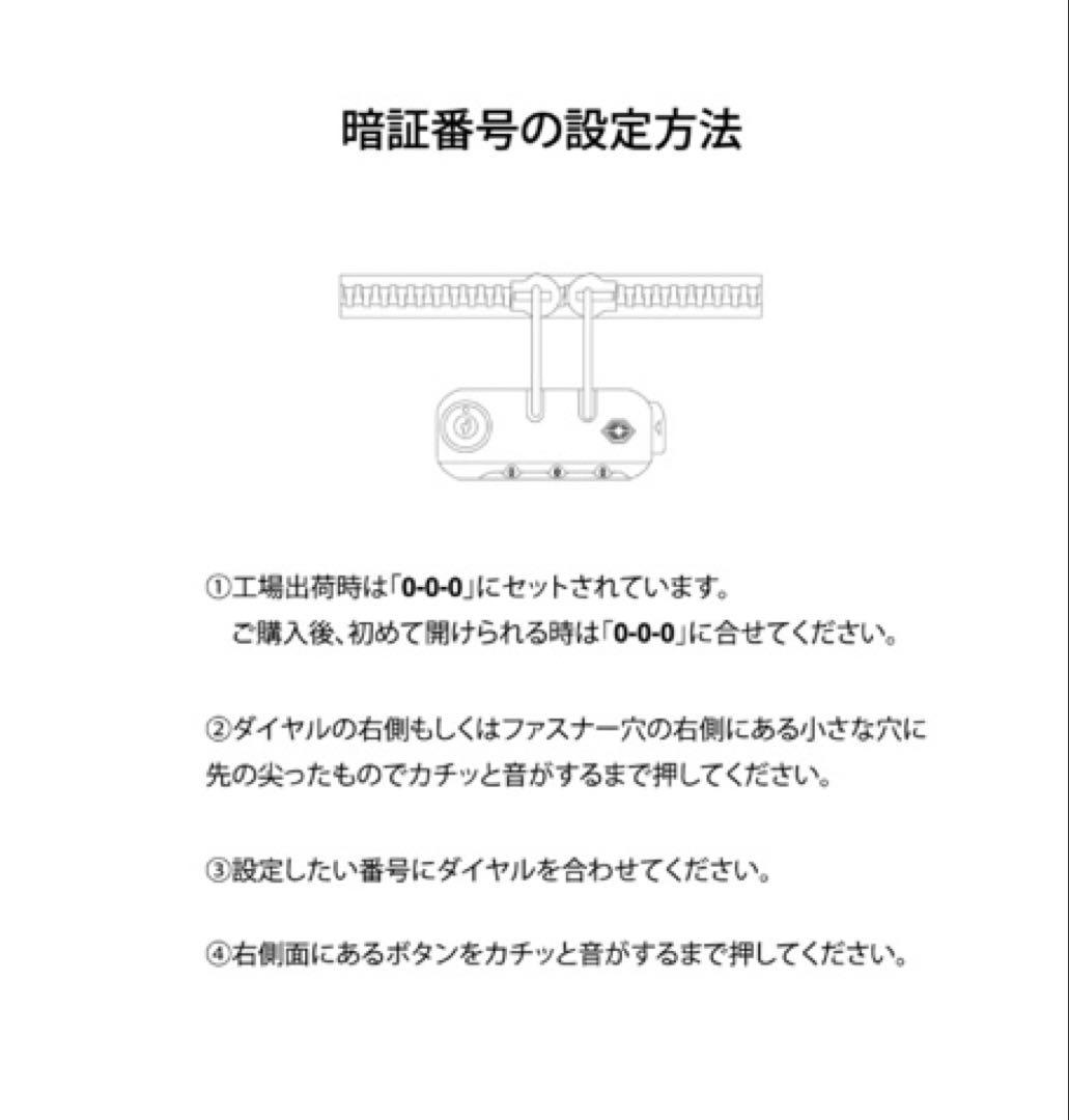 Da-iCE キャリーケース　新品　TERMiNaL 完売品