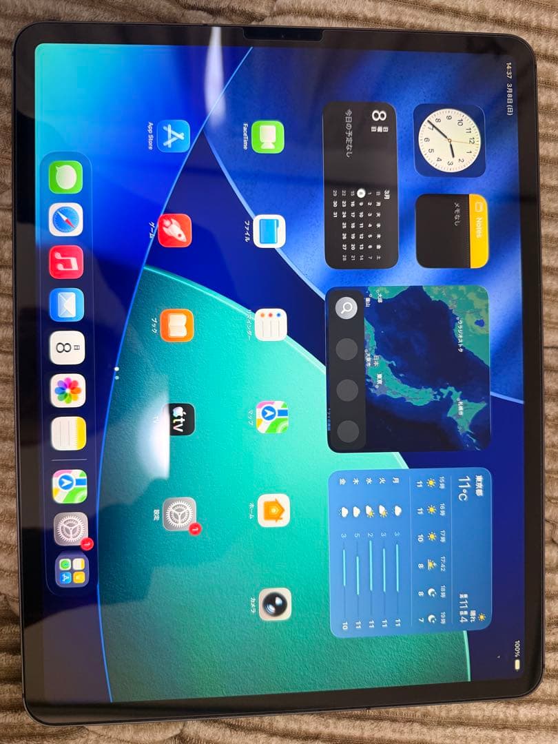 Apple iPad Pro 12.9 256GB 第４世代 +おまけ