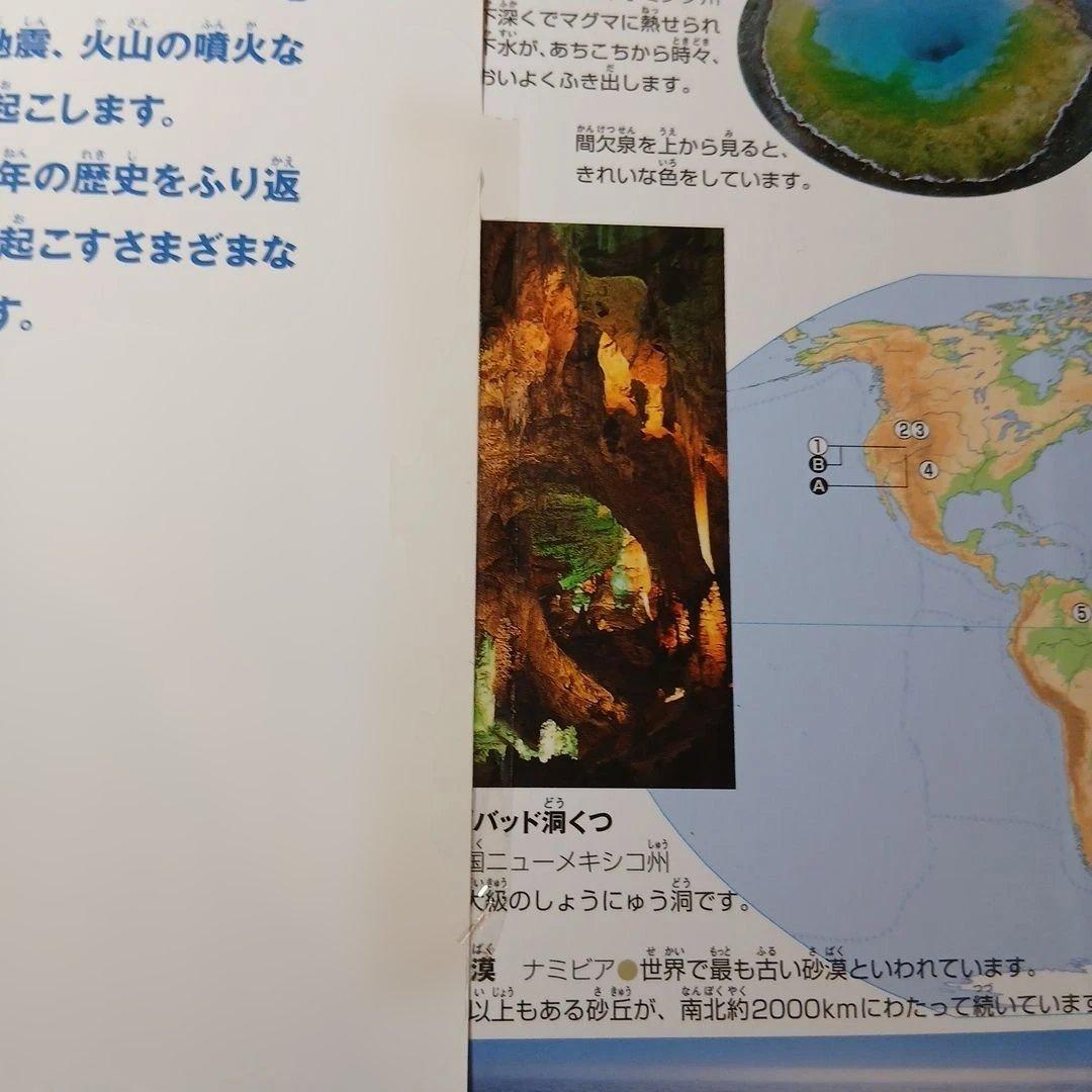 小学館の図鑑NEO プレNEO　学研の図鑑　12冊セット