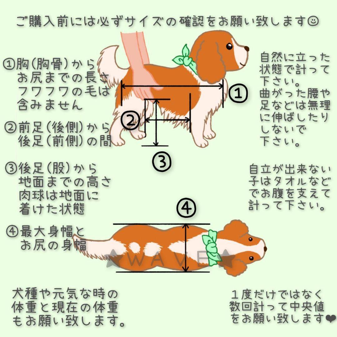 もも　犬用車椅子　犬の歩行器　歩行サポート　歩行補助　犬の車いす　シニア犬