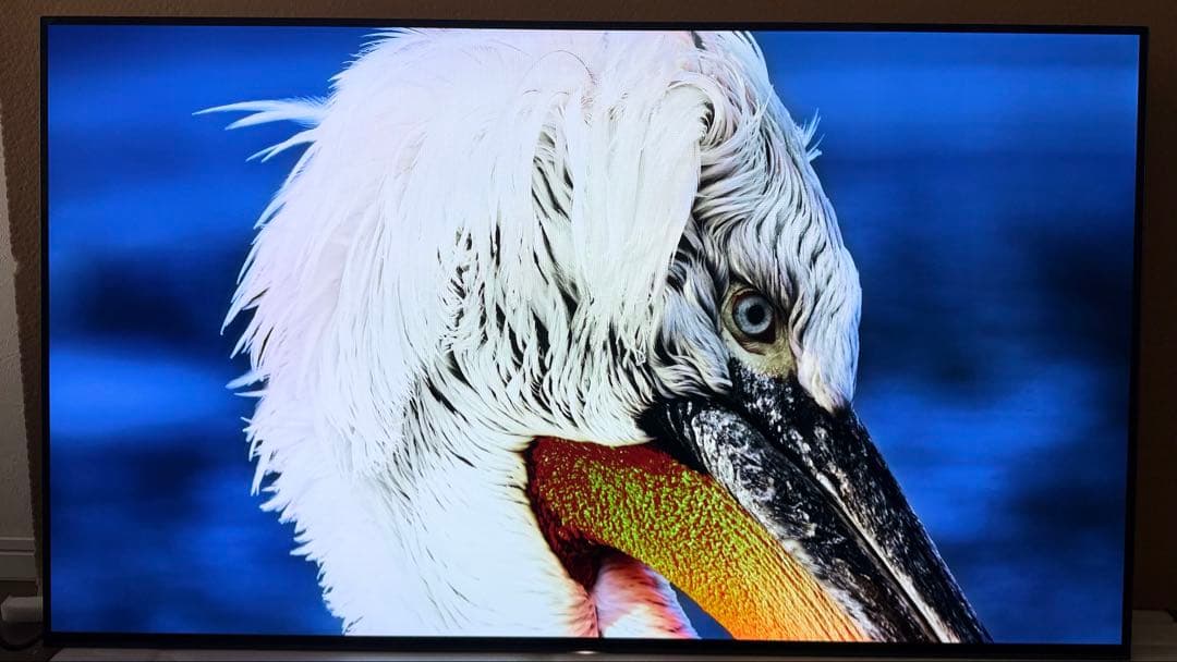 D*a様 4K有機ELテレビ SONY BRAVIA KJ-55A1