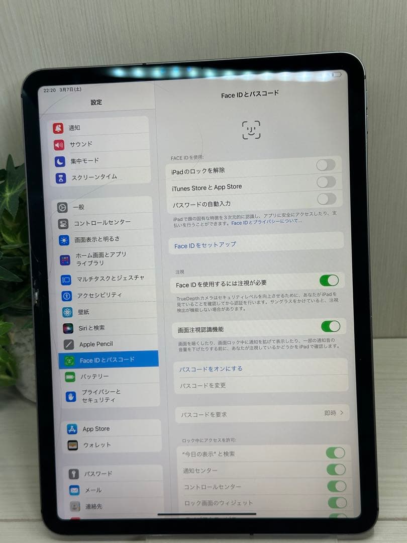 ✅iPad Pro 11インチ 第2世代 256GB SIMフリー