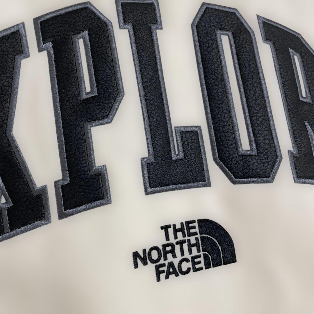 国内未発売♡ 韓国限定THE NORTH FACE ノースフェイスアウターL