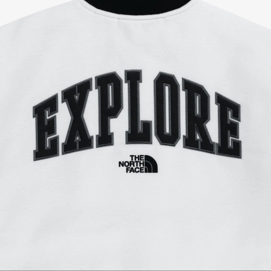 国内未発売♡ 韓国限定THE NORTH FACE ノースフェイスアウターL