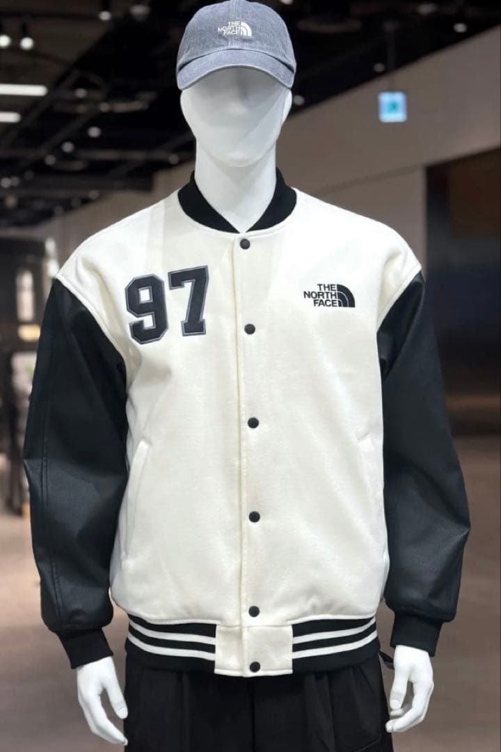 国内未発売♡ 韓国限定THE NORTH FACE ノースフェイスアウターL