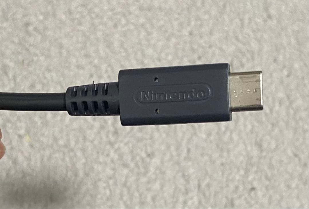 任天堂Switchライト（箱、ケースなし）