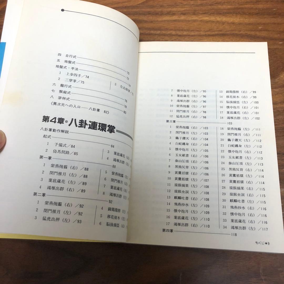 神秘の拳法 八卦掌入門 松田隆智 日東書院本社