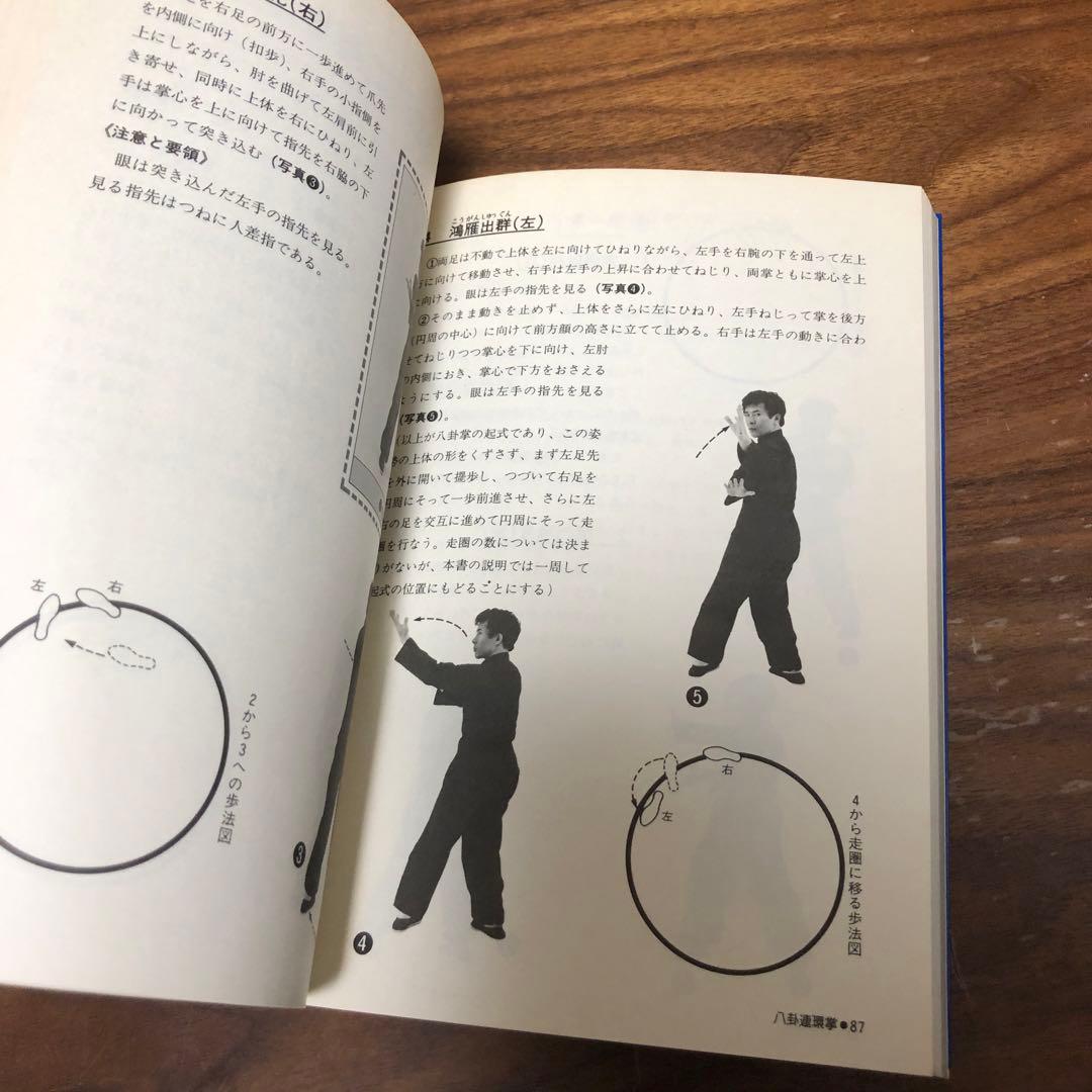 神秘の拳法 八卦掌入門 松田隆智 日東書院本社