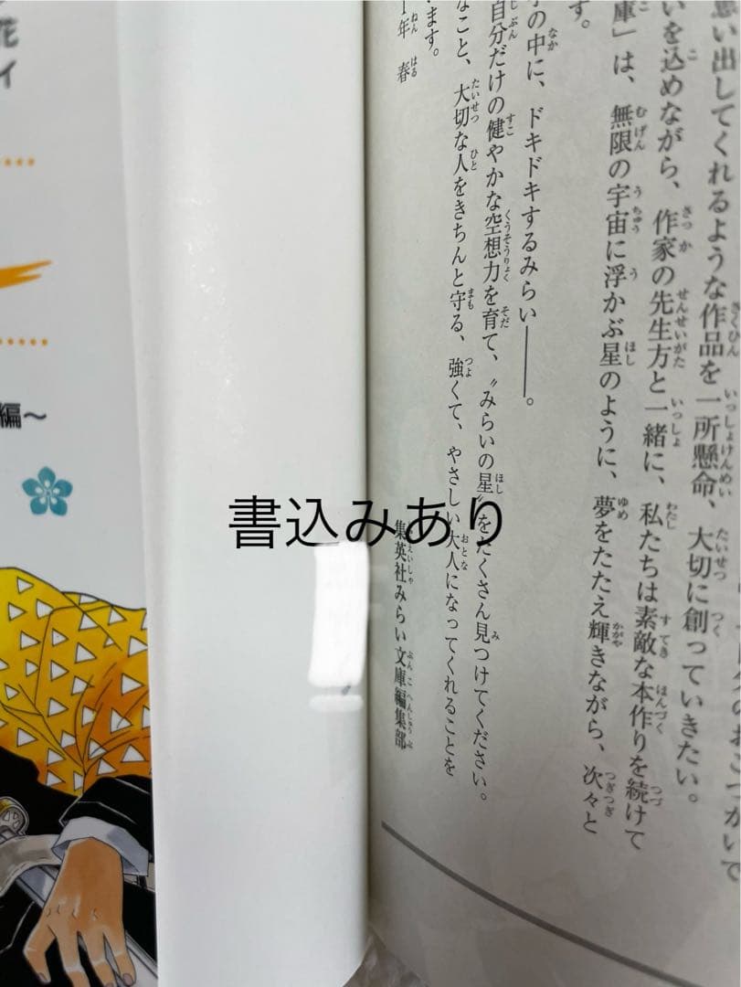 【美品】鬼滅の刃 ノベライズ 5冊•鬼殺隊見聞•短編集・外伝•他小説 全12冊